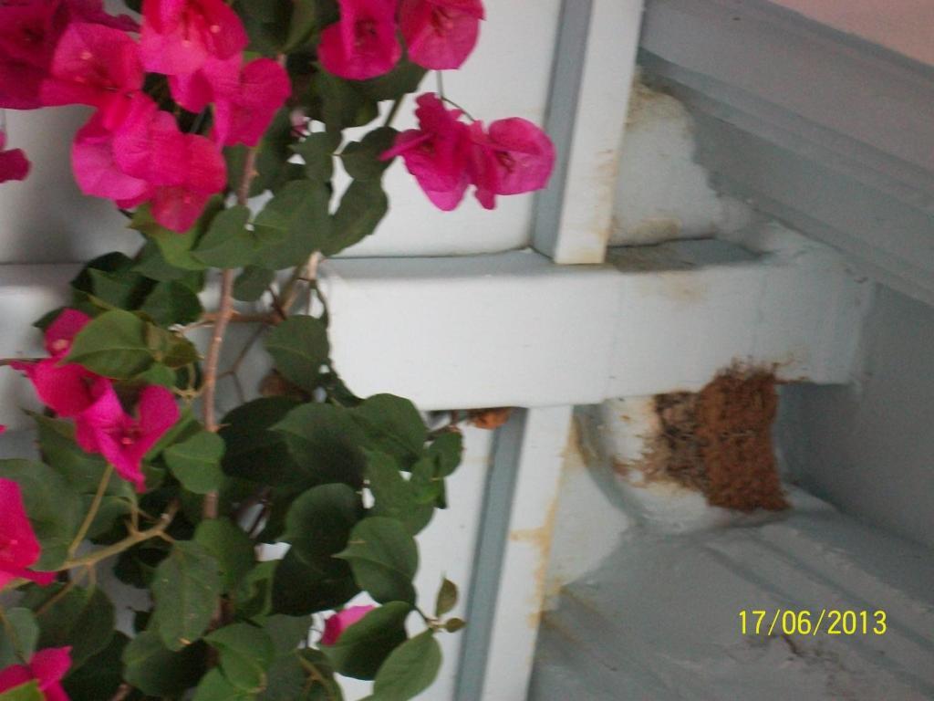 Hotel Spiros Ammoudia Exterior foto